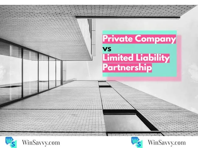 An In-Depth comparison between a private limited company and a limited liability partnership to find out which is a better business structure in India