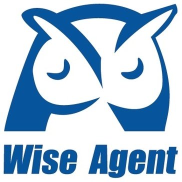 Wise Agent
